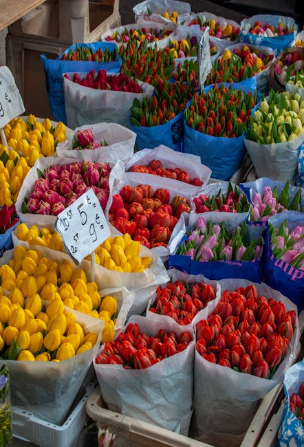 A vibrant display of freshly cut tulips arranged in large paper bouquets at a flower market. The tulips come in a variety of colors, including bright yellow, vivid pink, rich red, and soft purple, wit